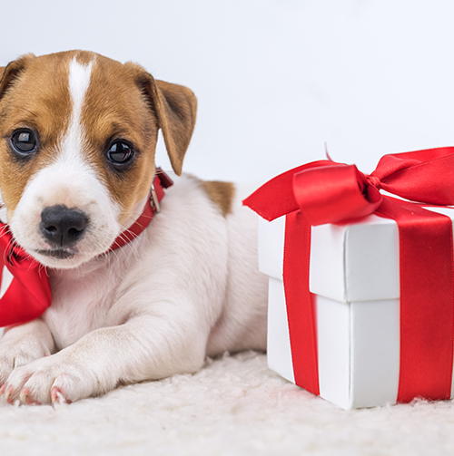 Merry Christmas - Closed Monday