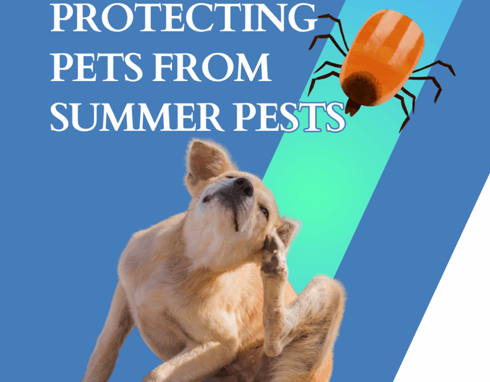 Protecting pets from summer pests